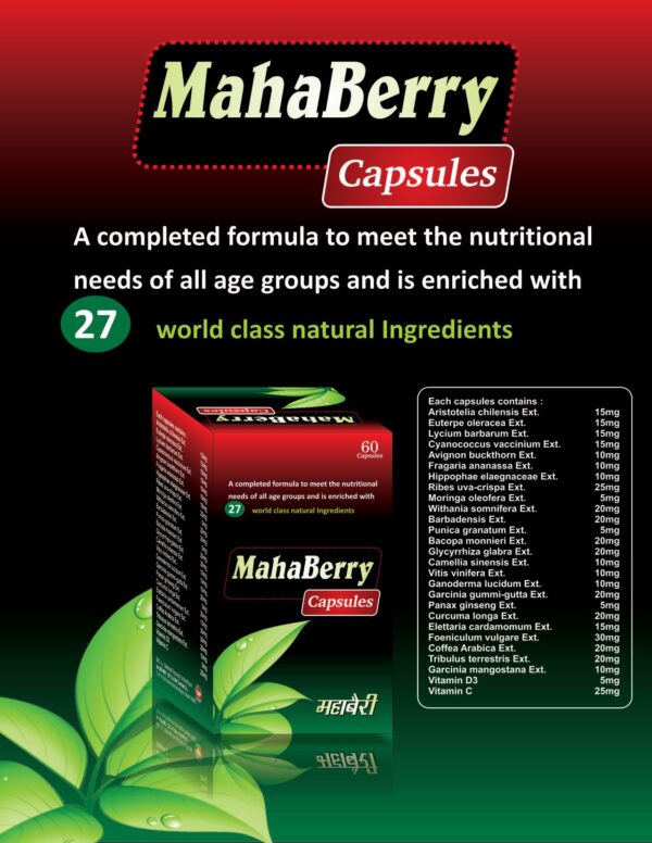 MAHABERRY CAPSULE 60s