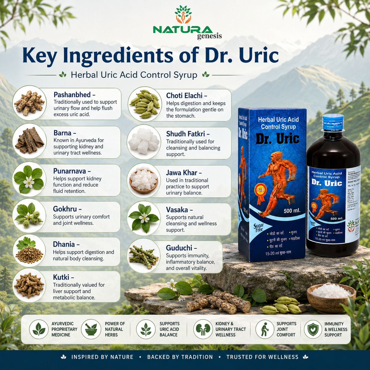 Dr. urice Product Img3 NATURO DR Uric Syrup 500ml | Herbal Uric Acid Support Syrup | Joint Wellness Support | Direct Manufacturer