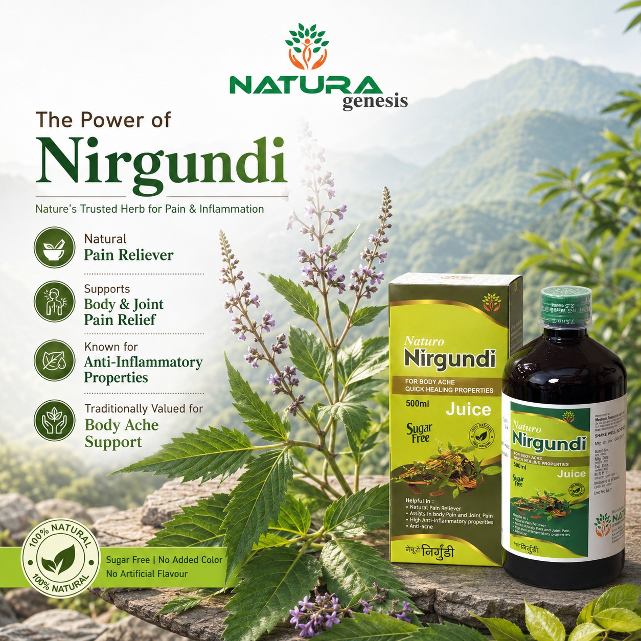 Nirgundi2 NATURO Nirgundi Juice 500ml | Herbal Wellness Juice | Joint Comfort & Mobility Support | Direct Manufacturer