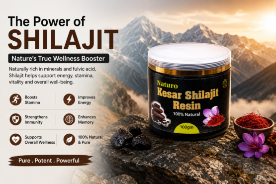 Shilajit: What It Is, Traditional Uses, Benefits & How to Choose It